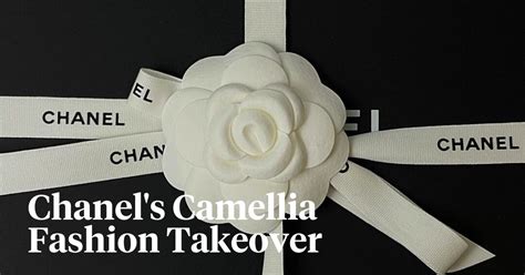 what to do with chanel camellia|Chanel camellia wallpaper.